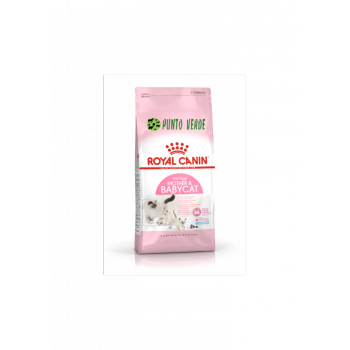 ROYAL CANIN CAT MOTHER&BABY 4KG